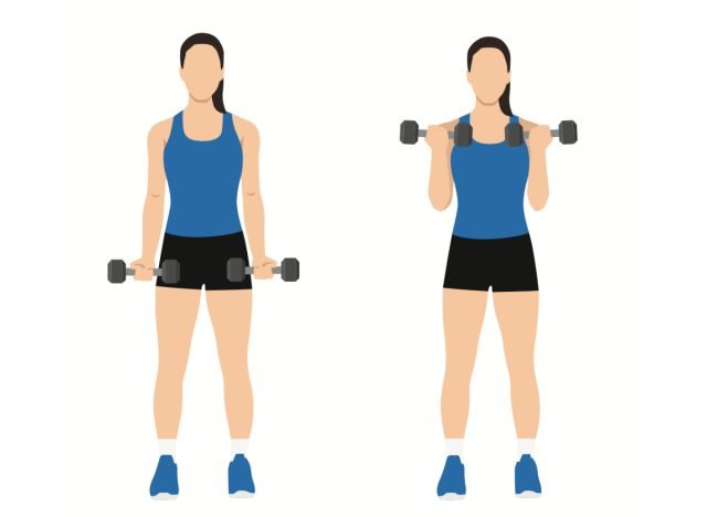illustration, concept de boucles de biceps debout avec des haltères pour tonifier vos bras en 30 jours