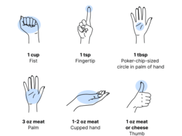 Utiliser vos mains pour estimer la taille des portions (INFOGRAPHIE)