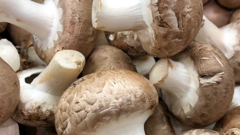 champignons