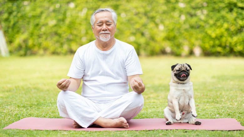 un homme âgé pratiquant le yoga avec son chien 