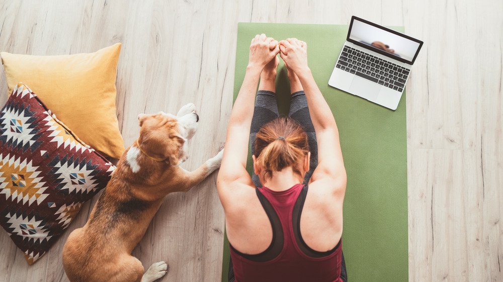 Une femme fait du yoga à côté d'un chien et d'un ordinateur portable