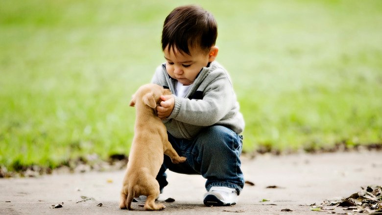 petit garçon caressant un chiot