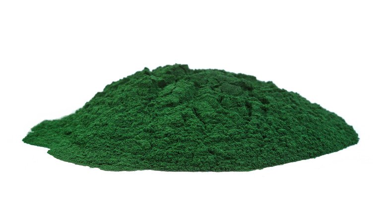 Poudre de spiruline sur fond blanc