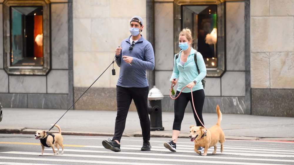 Promener les chiens avec des masques