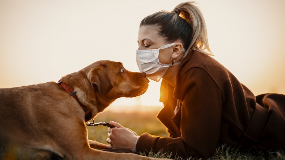 Chien avec une femme portant un masque