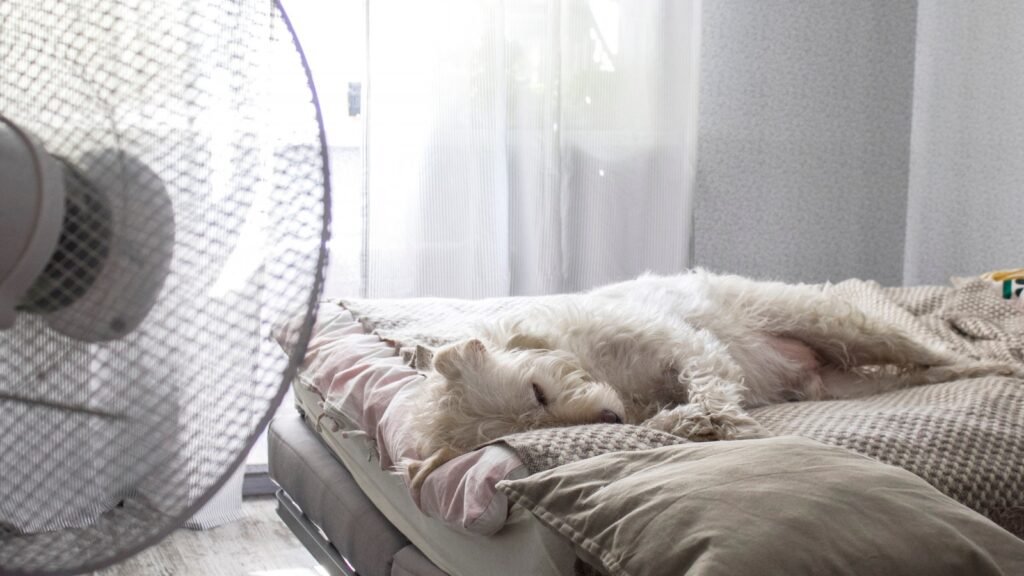 Dormir avec un ventilateur allumé peut être mauvais pour vous. Voici pourquoi