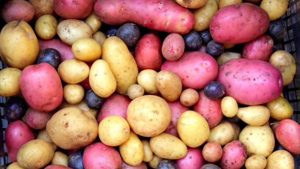 Pouvez-vous manger des pommes de terre dans le cadre du régime cétogène ?