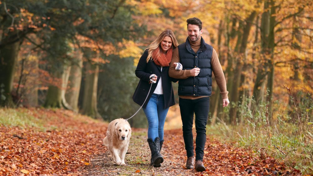 Couple se promenant avec leur chien