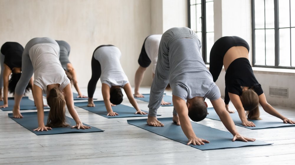 Chien tête en bas, cours de yoga