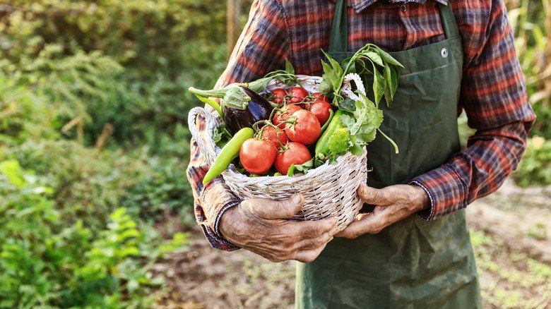 Homme portant un panier de tomates et d'aubergines