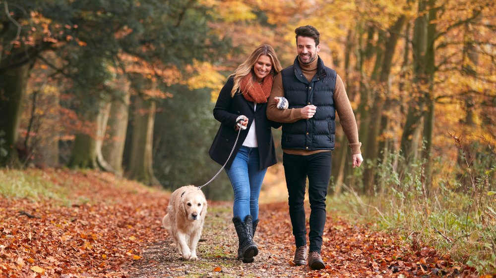 Exercice qui vous mettra de meilleure humeur : la marche