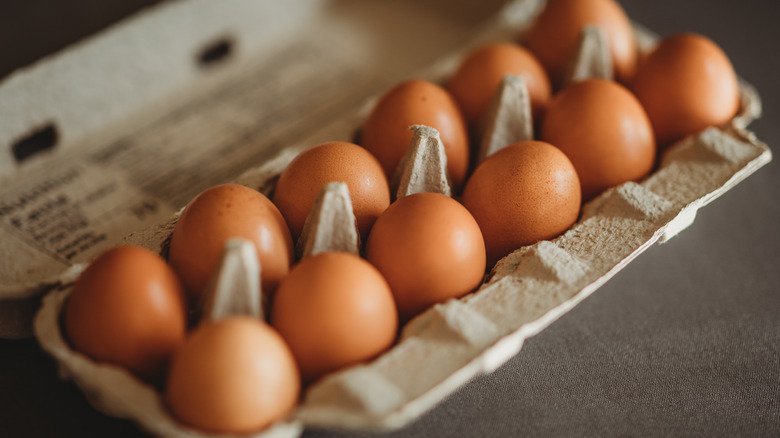 Une douzaine d'œufs bruns dans un carton